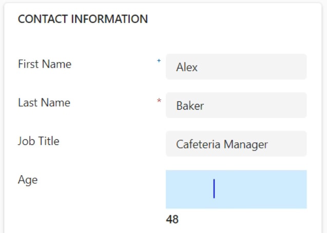 Age Input Component
