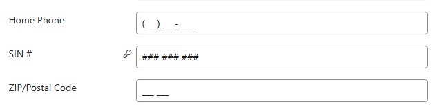 Input Mask