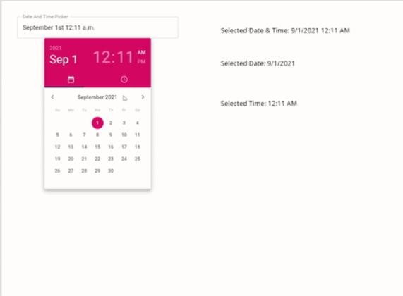 Calendar and Time Picker