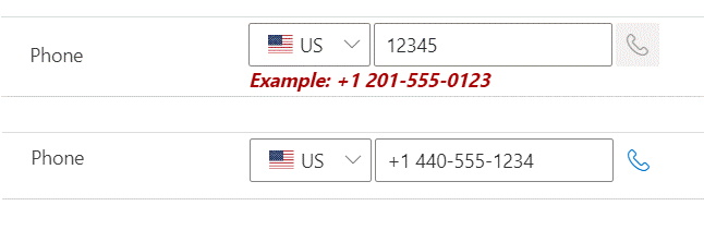 Phone Number Format